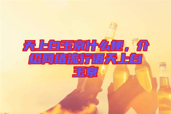 天上白玉京什么梗，介紹網(wǎng)絡(luò)流行語天上白玉京