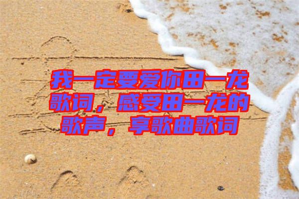 我一定要愛你田一龍歌詞，感受田一龍的歌聲，享歌曲歌詞