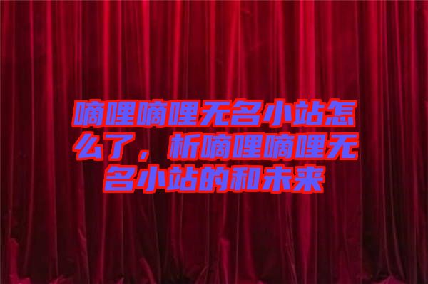 嘀哩嘀哩無名小站怎么了，析嘀哩嘀哩無名小站的和未來
