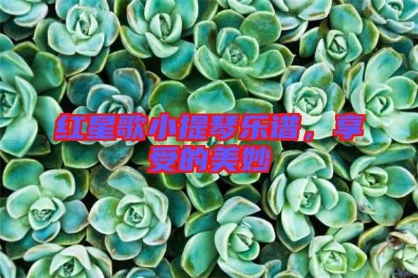 紅星歌小提琴樂譜，享受的美妙