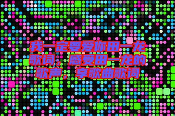 我一定要愛(ài)你田一龍歌詞，感受田一龍的歌聲，享歌曲歌詞