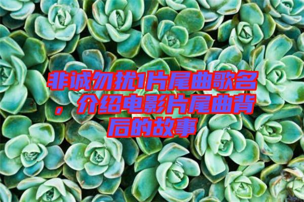 非誠(chéng)勿擾1片尾曲歌名，介紹電影片尾曲背后的故事