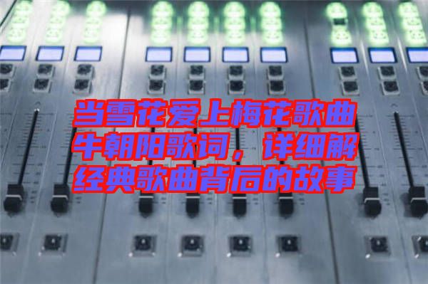 當(dāng)雪花愛上梅花歌曲牛朝陽歌詞，詳細(xì)解經(jīng)典歌曲背后的故事