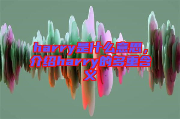 harry是什么意思，介紹harry的多重含義