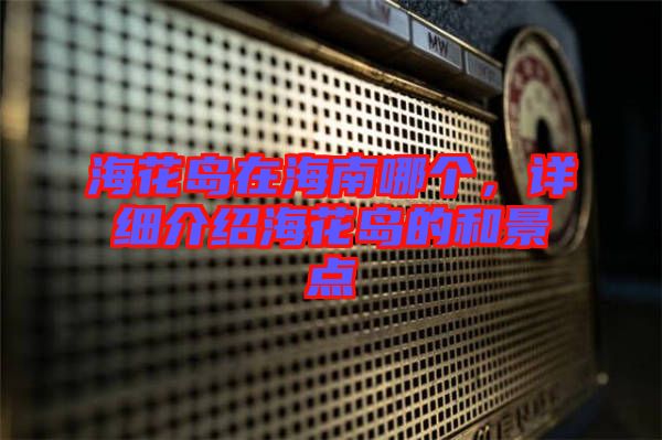 ?；◢u在海南哪個，詳細介紹?；◢u的和景點