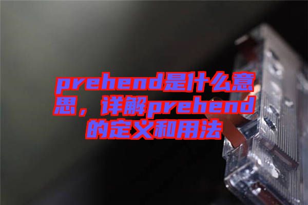 prehend是什么意思，詳解prehend的定義和用法