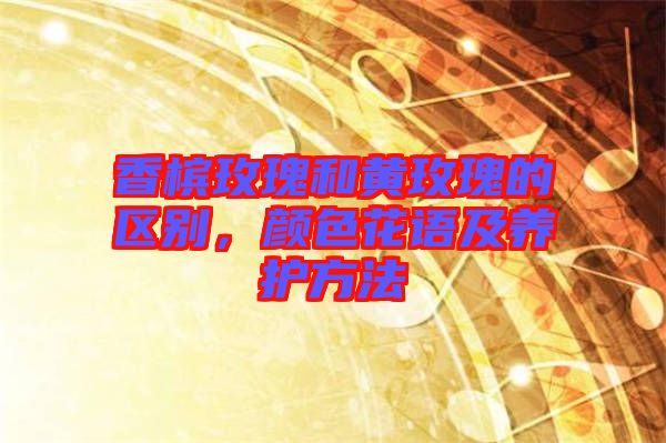香檳玫瑰和黃玫瑰的區(qū)別，顏色花語(yǔ)及養(yǎng)護(hù)方法