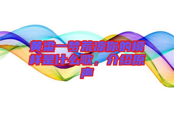 黃粱一夢(mèng)荒涼你的模樣是什么歌，介紹原聲