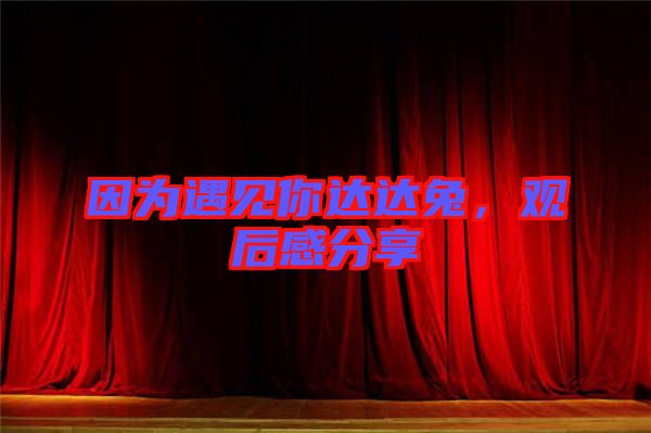 因為遇見你達達兔，觀后感分享