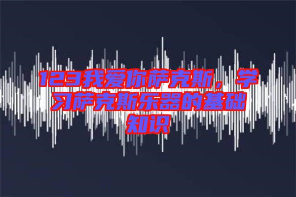 123我愛你薩克斯，學(xué)習(xí)薩克斯樂器的基礎(chǔ)知識