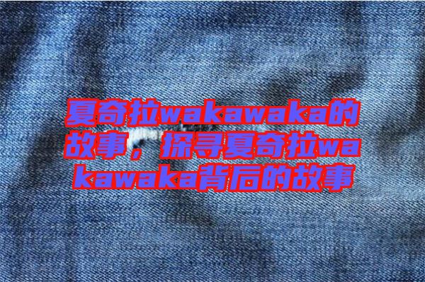 夏奇拉wakawaka的故事，探尋夏奇拉wakawaka背后的故事