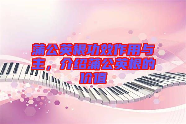 蒲公英根功效作用與主，介紹蒲公英根的價值