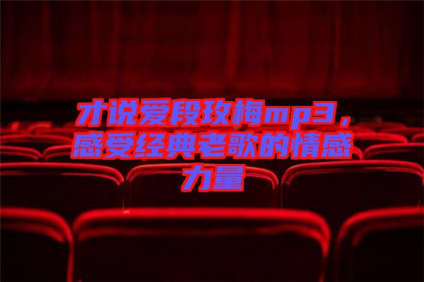 才說愛段玫梅mp3，感受經(jīng)典老歌的情感力量