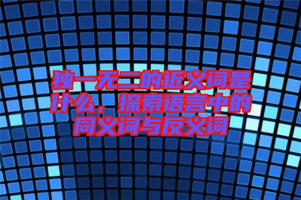 獨(dú)一無(wú)二的近義詞是什么，探索語(yǔ)言中的同義詞與反義詞