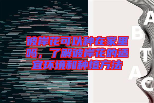 彼岸花可以種在家里嗎，了解彼岸花的適宜環(huán)境和種植方法