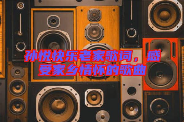 孫悅快樂老家歌詞，感受家鄉(xiāng)情懷的歌曲