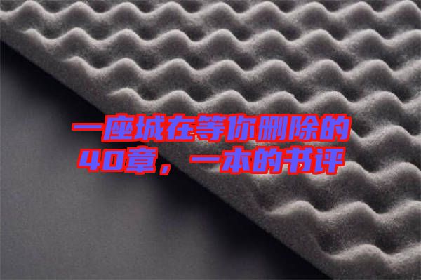 一座城在等你刪除的40章，一本的書評(píng)