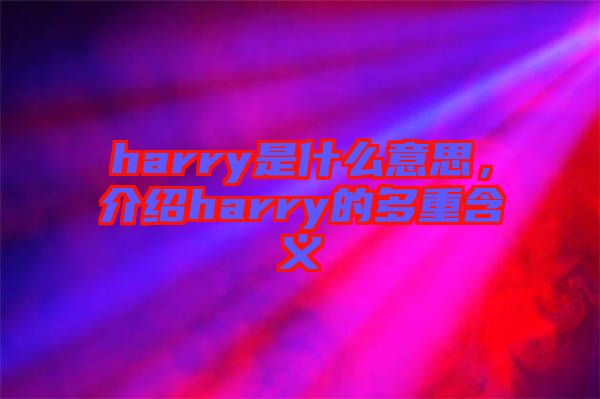 harry是什么意思，介紹harry的多重含義
