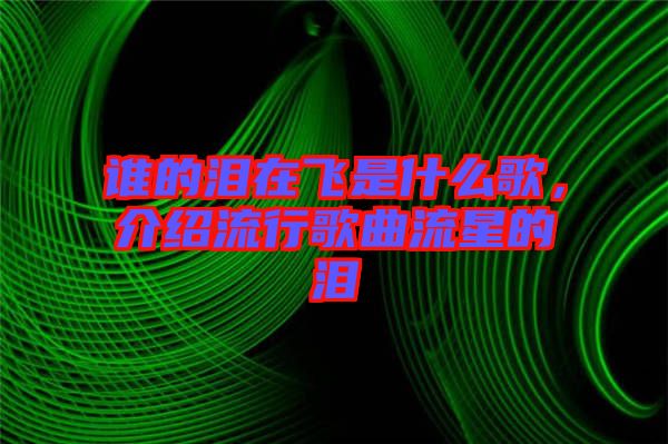 誰(shuí)的淚在飛是什么歌，介紹流行歌曲流星的淚
