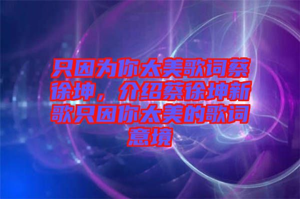 只因為你太美歌詞蔡徐坤，介紹蔡徐坤新歌只因你太美的歌詞意境