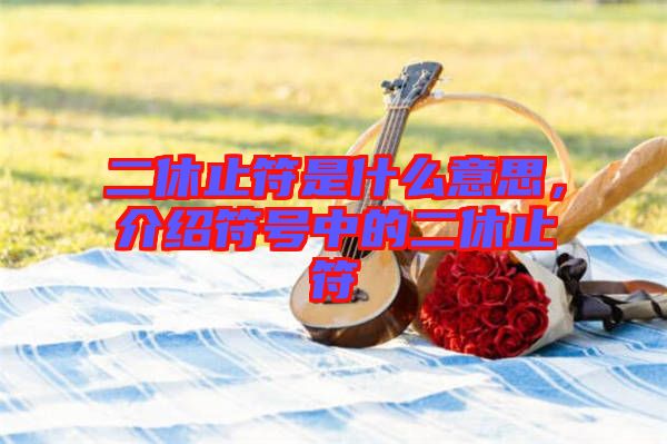 二休止符是什么意思，介紹符號中的二休止符
