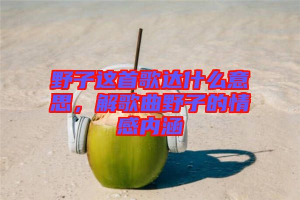 野子這首歌達什么意思，解歌曲野子的情感內(nèi)涵