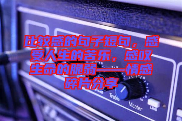 比較感的句子短句，感受人生的苦樂，感嘆生命的脆弱——情感碎片分享