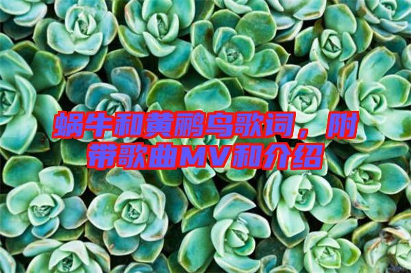 蝸牛和黃鸝鳥歌詞，附帶歌曲MV和介紹