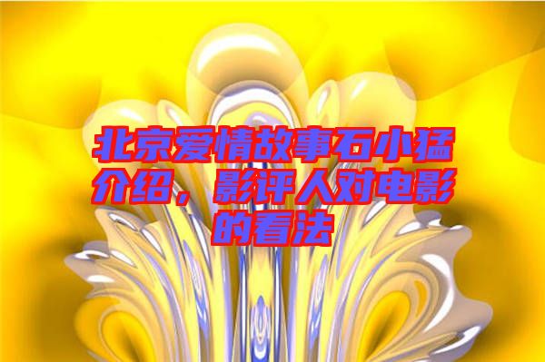 北京愛情故事石小猛介紹，影評人對電影的看法