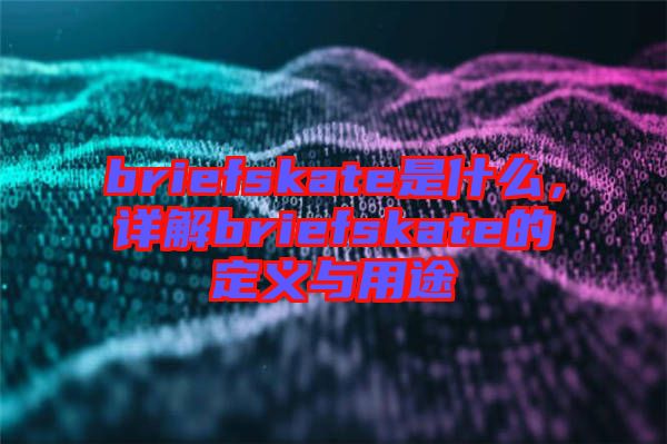 briefskate是什么，詳解briefskate的定義與用途