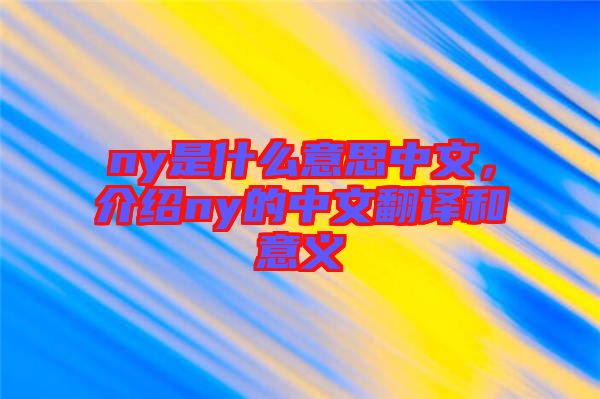 ny是什么意思中文，介紹ny的中文翻譯和意義