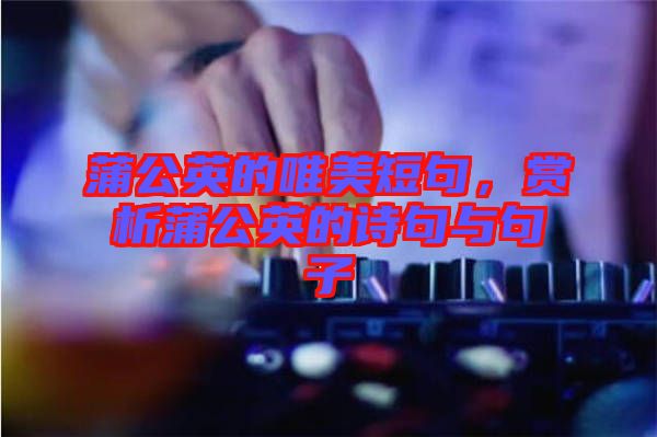 蒲公英的唯美短句，賞析蒲公英的詩(shī)句與句子