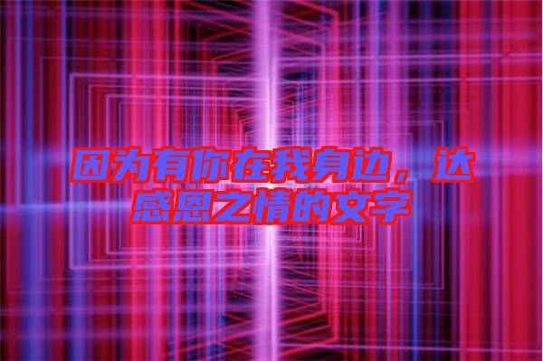 因為有你在我身邊，達(dá)感恩之情的文字