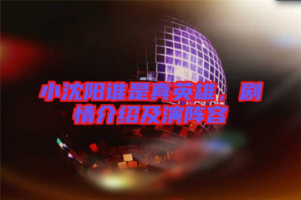 小沈陽(yáng)誰(shuí)是真英雄，劇情介紹及演陣容