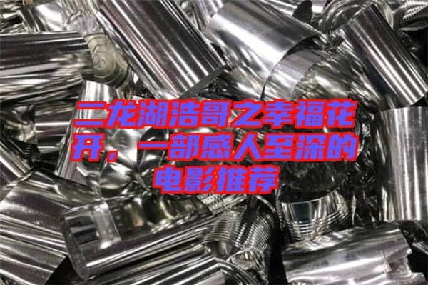 二龍湖浩哥之幸福花開，一部感人至深的電影推薦