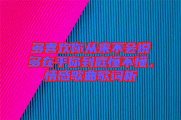 多喜歡你從來不會說多在乎你到底懂不懂，情感歌曲歌詞析