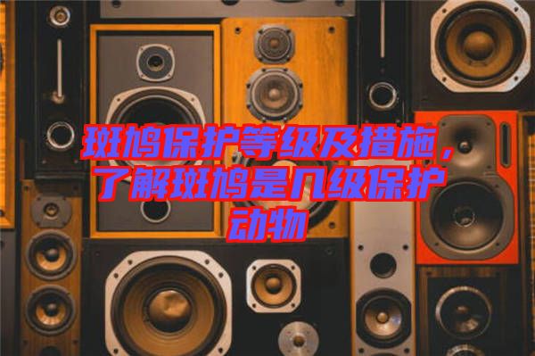 斑鳩保護等級及措施，了解斑鳩是幾級保護動物