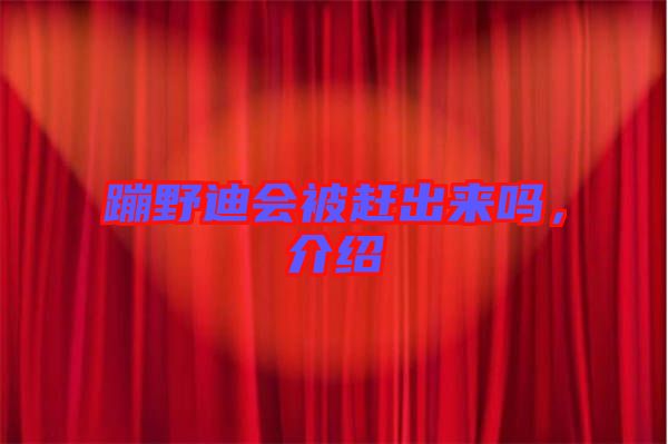 蹦野迪會(huì)被趕出來嗎，介紹