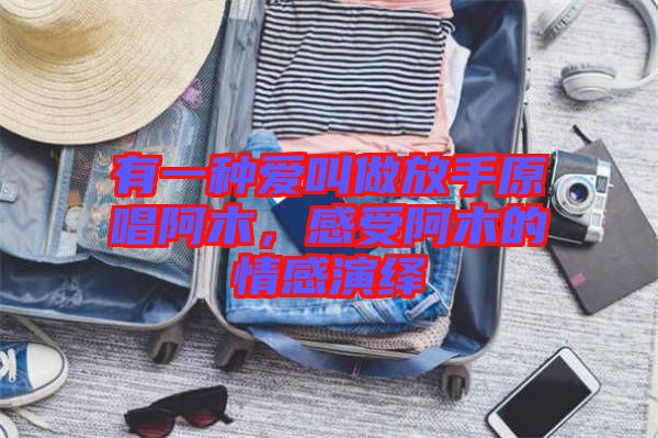 有一種愛(ài)叫做放手原唱阿木，感受阿木的情感演繹