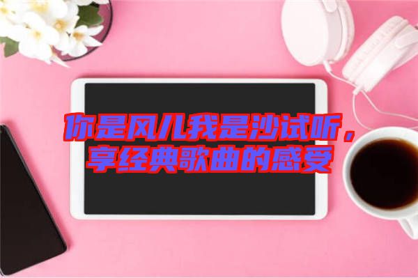 你是風(fēng)兒我是沙試聽，享經(jīng)典歌曲的感受