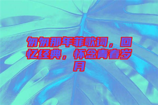 匆匆那年菲歌詞，回憶經(jīng)典，懷念青春歲月
