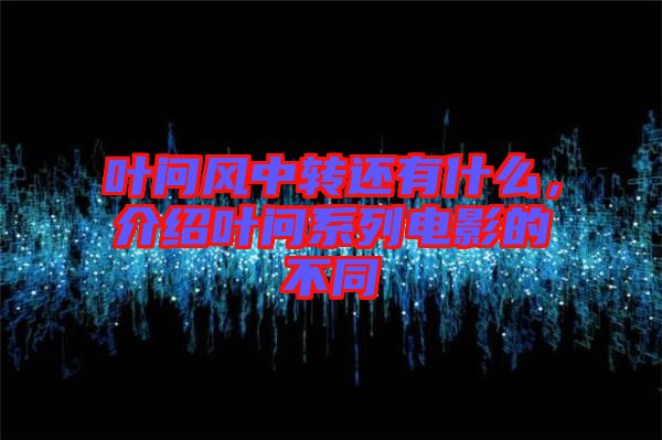 葉問風(fēng)中轉(zhuǎn)還有什么，介紹葉問系列電影的不同