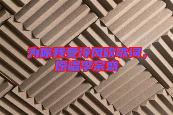 為你我受冷風吹歌詞，原唱李宗盛