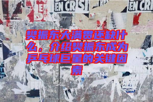 樊振東大滿貫還缺什么，介紹樊振東成為乒乓球巨星的關(guān)鍵因素