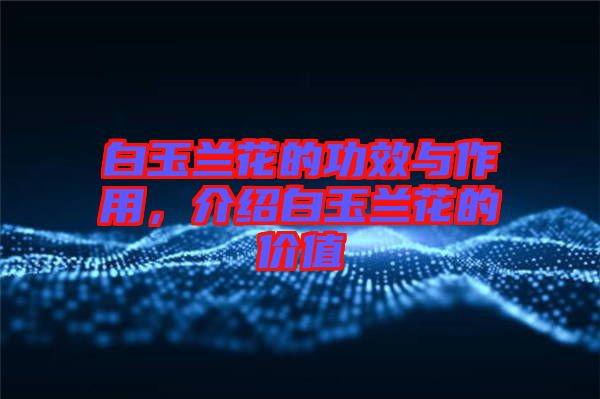 白玉蘭花的功效與作用，介紹白玉蘭花的價(jià)值