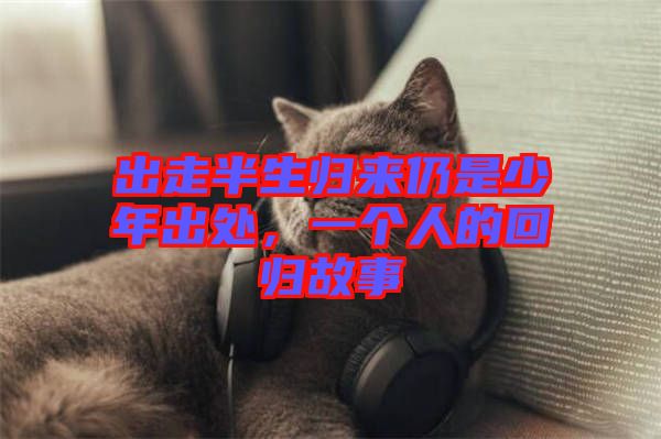 出走半生歸來仍是少年出處，一個(gè)人的回歸故事