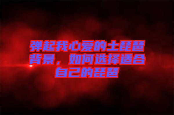 彈起我心愛(ài)的土琵琶背景，如何選擇適合自己的琵琶