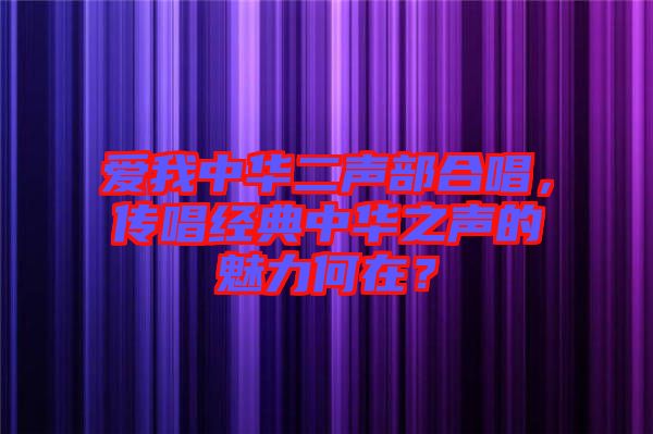愛(ài)我中華二聲部合唱，傳唱經(jīng)典中華之聲的魅力何在？