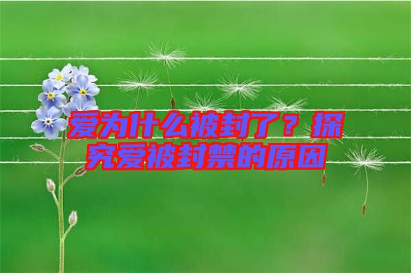 愛(ài)為什么被封了？探究愛(ài)被封禁的原因
