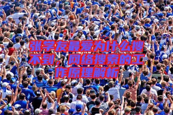 張學(xué)友最愛為什么搜不到，網(wǎng)絡(luò)搜索的工作原理解析